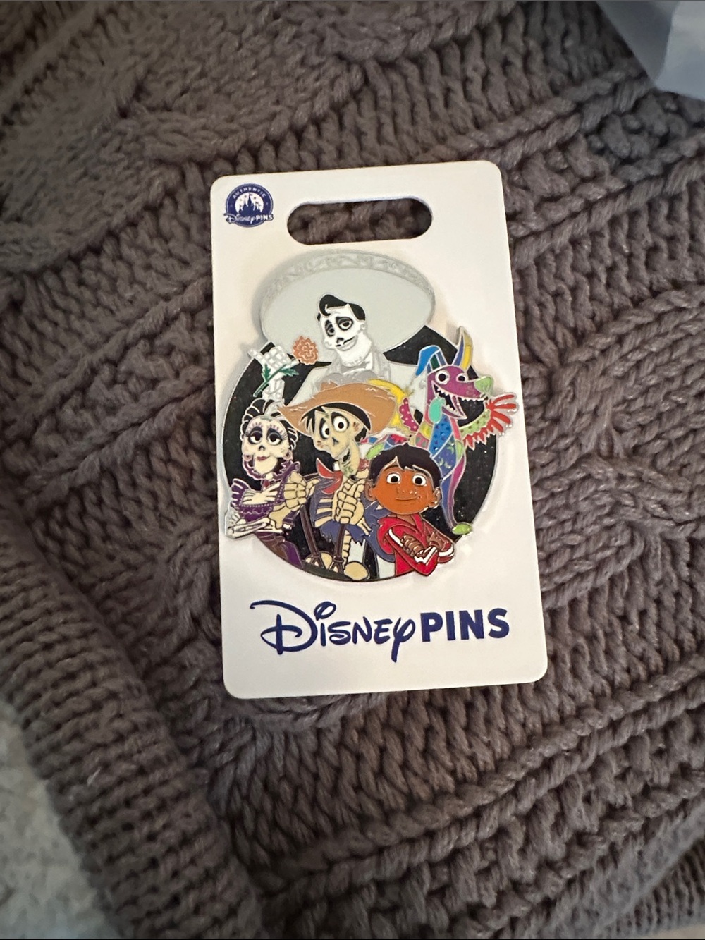 Disney Multi-Color Coco Character Brooch Pin